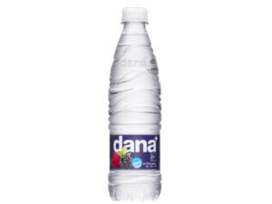 DANA MINERAL Robida VODA 0,5L
