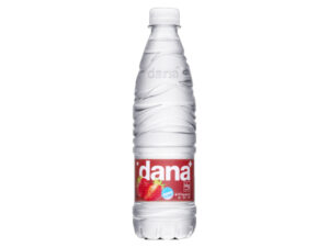 DANA plus VODA GOZDNA JAGODA 0,5L