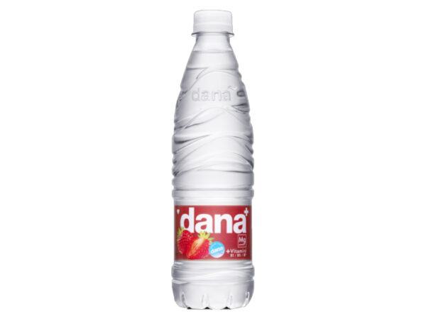 DANA plus VODA GOZDNA JAGODA 0,5L DANA plus VODA GOZDNA JAGODA 0,5L