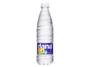 DANA plus VODA SLIVA 0,5L