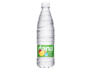 DANA plus VODA ZERO MANGO MANDARINA 0,5L
